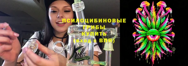 крисы Алексин